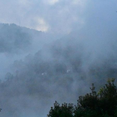 Bagar Trails Hotel Nainital Eksteriør billede