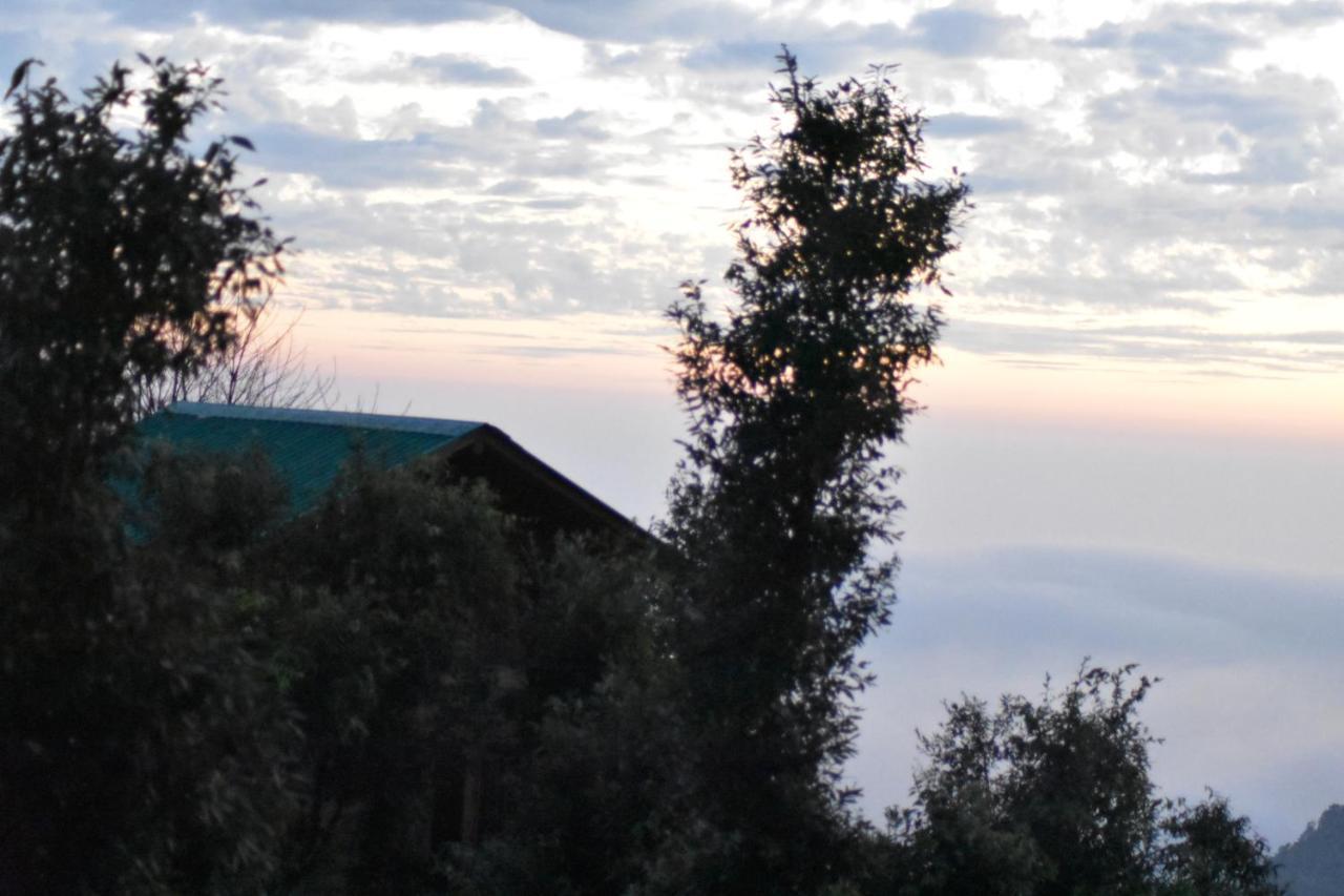 Bagar Trails Hotel Nainital Eksteriør billede